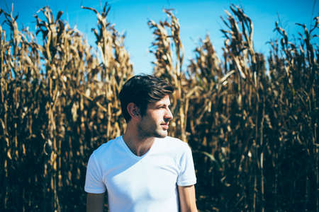 Young bearded man standing in the middle of cornfield, looking awayの写真素材
