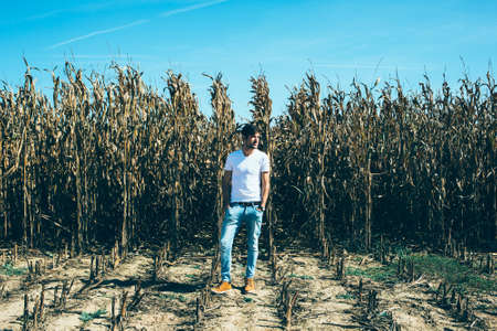 Young bearded man standing in the middle of cornfield, looking awayの写真素材