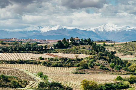 Landscape of Elciego village, famous by its vineyards. Spainの写真素材