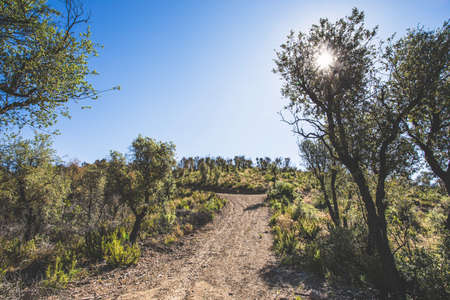 Costa Brava mountain panorama on a sunny summer day.