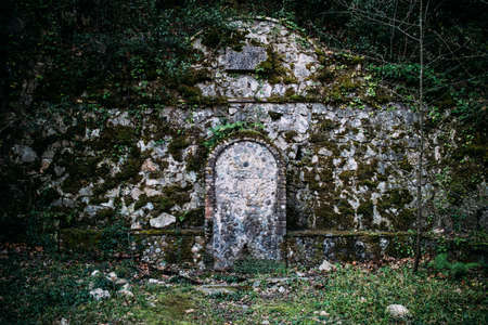 Abandoned misty fountain in the middle of forestの写真素材