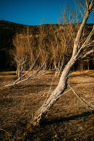 Lake sunset landscape in autumn.の写真素材