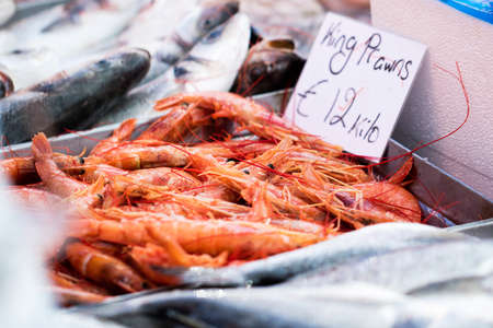 Fresh king prawns in a fish market stall.の写真素材