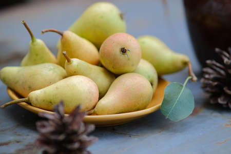 Yellow nrushi in a yellow plate. Still life of ripe pears. Fruit in a bowlの写真素材