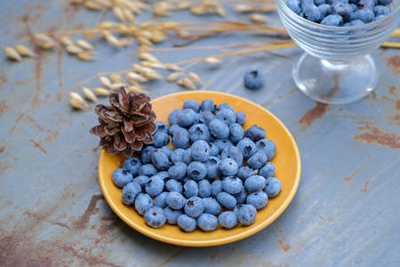 Blueberries in a bowl. Still life with berries.