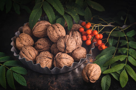 Walnuts in a stainless steel container on a dark background with rowan and green leaves.の写真素材