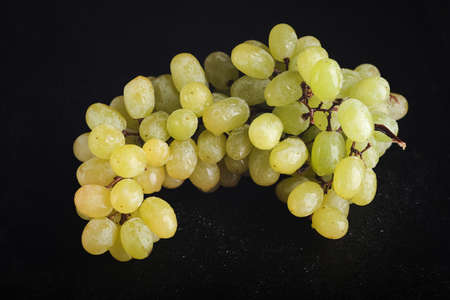 A branch of white grapes on a dark background with splashes of water. An abundance of white grapes....
