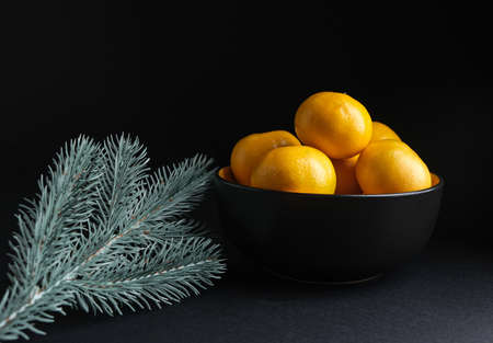 Tangerines with a sprig of spruce on a dark background.の写真素材