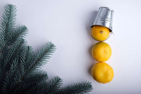 Tangerines on a white background with a branch of a Christmas tree.の写真素材