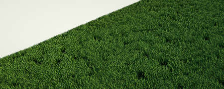 3D Background abstraction of lawn advertising with conditional architecture.
