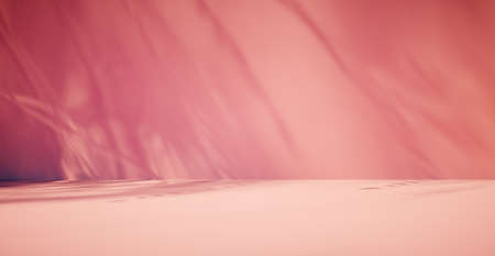 Blank colorful wall background and hard falling shadow. 3D rendering.の写真素材