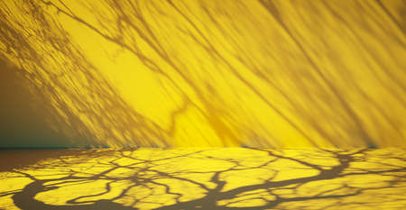 Blank colorful wall background and hard falling shadow. 3D rendering.の写真素材