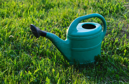 Green watering can on the grass.の写真素材