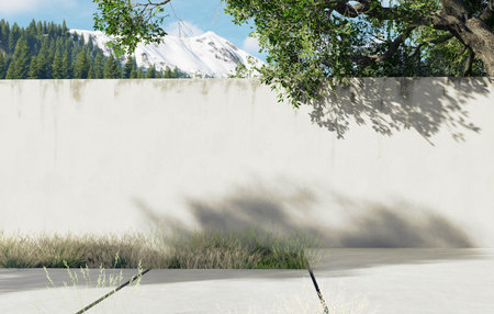 Exploring the interplay of Shadows and Natural Light on a Wall, an intriguing visual dynamicの写真素材