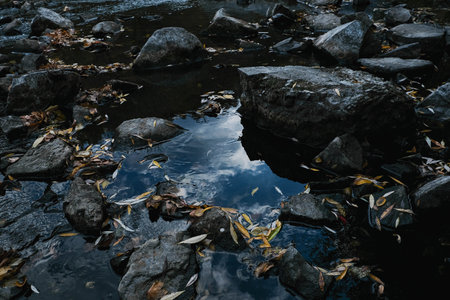 Tranquil Reflections on Water Featuring Beautiful Fall Leaves, Rocks, and Scenic Natural Beautyの写真素材