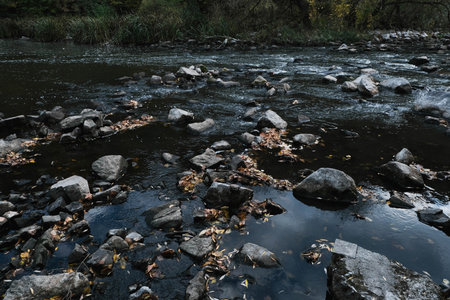 Tranquil Reflections on Water Featuring Beautiful Fall Leaves, Rocks, and Scenic Natural Beautyの写真素材