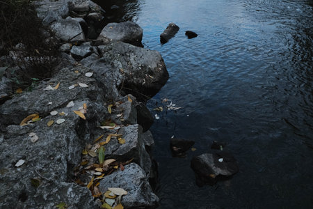 Tranquil Reflections on Water Featuring Beautiful Fall Leaves, Rocks, and Scenic Natural Beautyの写真素材
