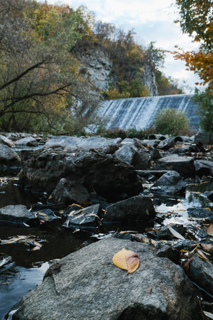 A Serene and Majestic Waterfall Wonderfully Nestled Amidst a Beautifully Vibrant Autumn Landscapeの写真素材