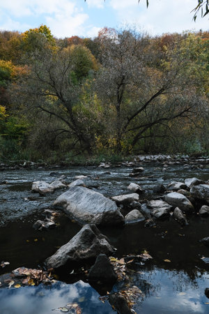 Tranquil Reflections on Water Featuring Beautiful Fall Leaves, Rocks, and Scenic Natural Beautyの写真素材