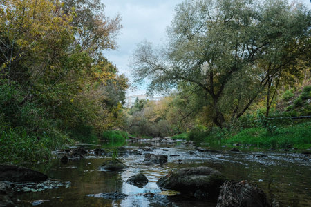A Serene and Flowing River Gently Surrounded by Vibrant Lush Fall Foliage All Aroundの写真素材