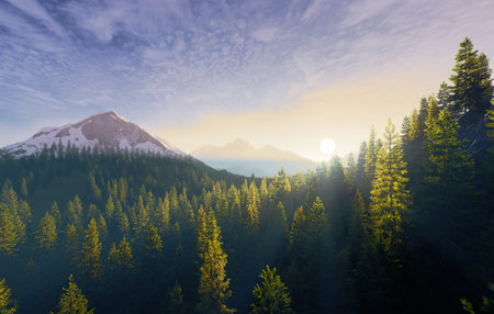A Beautiful Serene Mountain Landscape at Dawn Surrounded by Misty Fog Creating a Calm Atmosphereの写真素材