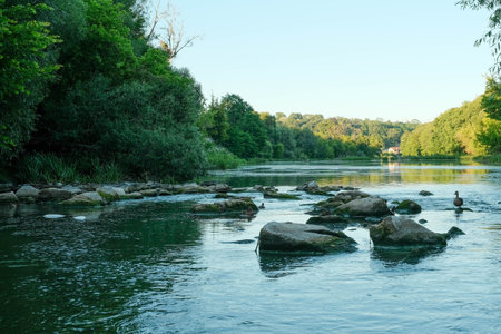 A wide river with rocks breaking the surface, bordered by lush green forests under a clear sky.