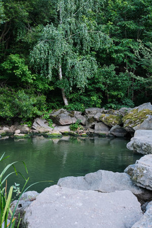Serene green pond surrounded by large rocks and dense forest foliage.の写真素材