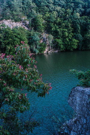 Verdant river landscape with steep forested banks and striking reddish-leafed foreground foliage.の写真素材