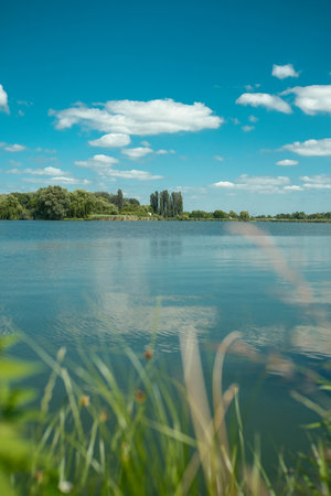 Peaceful lakeside view under a blue sky with white clouds, framed by green foliage and distant trees.の写真素材