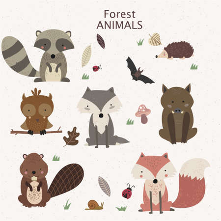 Woodland tribal animals cute forest and nature design elements.のイラスト素材