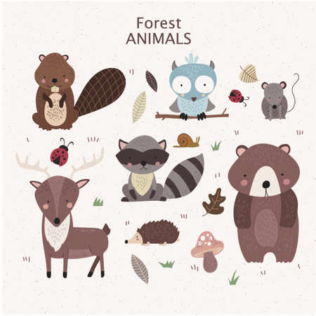 Woodland tribal animals cute forest and nature design elements.のイラスト素材