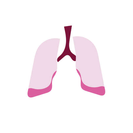 Icon of the respiratory system, lungs, in pink for training, medicine, website