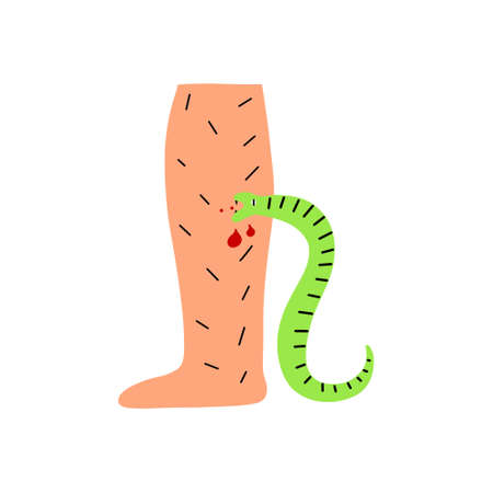 A poisonous snake bites a person's leg. Vector hand drawn illustration.のイラスト素材