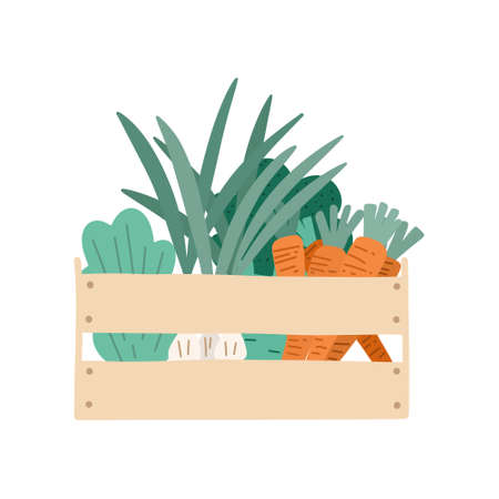 Vegetables in a box. harvesting. Vector illustration in flat styleのイラスト素材