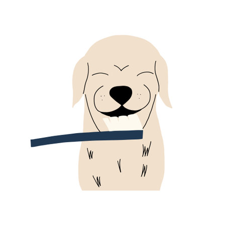 Canine dental care and hygiene. Labrador getting his teeth cleaned with a toothbrush. Vector illustration in hand drawn styleのイラスト素材