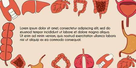 Medical template with human internal organs. Gallbladder, lung, heart, stomach, intestines, liver, thyroid, bladder. Vector illustration.のイラスト素材