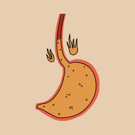 Stomach with gastric juice. heartburn symptom. vector illustration.のイラスト素材