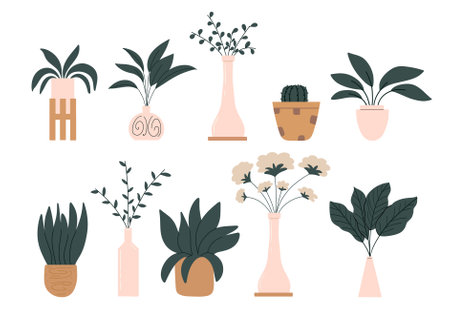 A set of indoor plants for a modern interior. Vector illustration in flat styleのイラスト素材