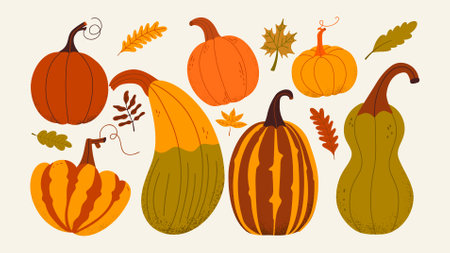 Cozy pumpkin and zucchini set. Thanksgiving Day, and Halloween season. Autumn set with cute hand draw design elements. Fall design collection.のイラスト素材