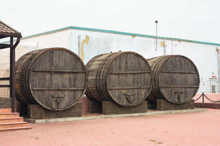 Large, wooden barrels for wine production in the wine factory in Taman Krasnodar region of Russia