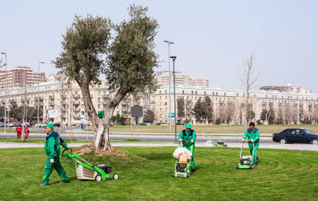 March 15, 2017 seaside Park, Baku, Azerbaijan. Gardeners produce gardening in the city Parkのeditorial素材