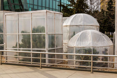 Measures to protect heat-loving plants in winter. Device greenhouses made of polyethylene to protect the cacti from the cold wind. Baku, Azerbaijanの写真素材