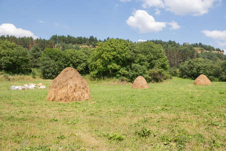 The region of the Caucasian Mineral Waters. Harvest time: a large round bale of hay on a mown summer...