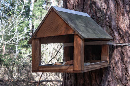 Wooden bird feeder birdhouse on a tree in the forest. Birdhouse close-up.の写真素材
