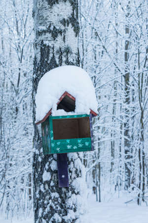 Wooden bird feeder birdhouse on a tree in the forest. Birdhouse close-up.の写真素材