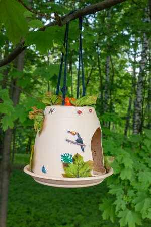 Wooden bird feeder birdhouse on a tree in the forest. Birdhouse close-up.の写真素材