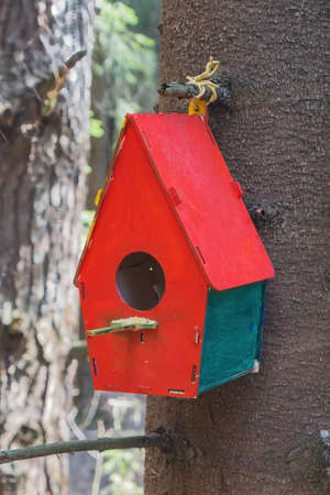 Wooden bird feeder birdhouse on a tree in the forest. Birdhouse close-up.