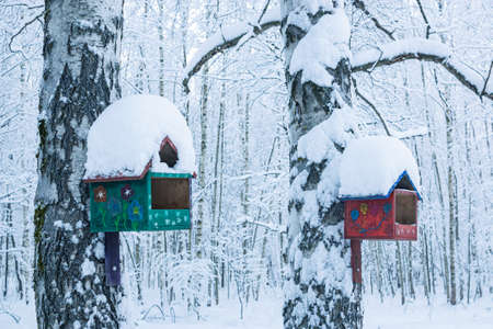 Wooden bird feeder birdhouse on a tree in the forest. Birdhouse close-up.の写真素材
