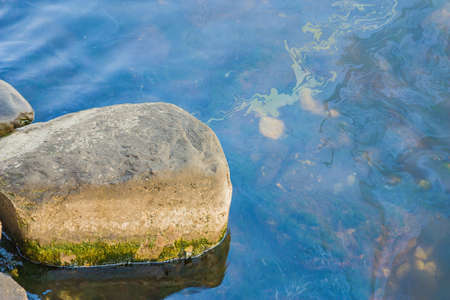 Pollution of the marine water area. A large abstract stain from engine oil or gasoline spilled on...