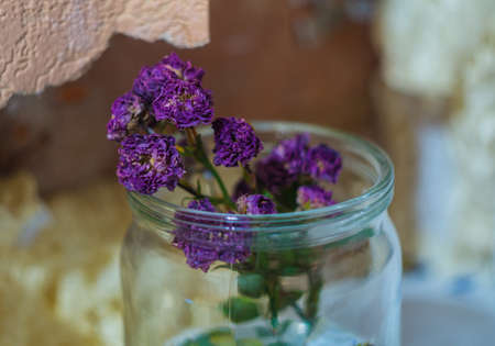 Purple flaccid flower in a glass jar on the background of a broken window sillの写真素材